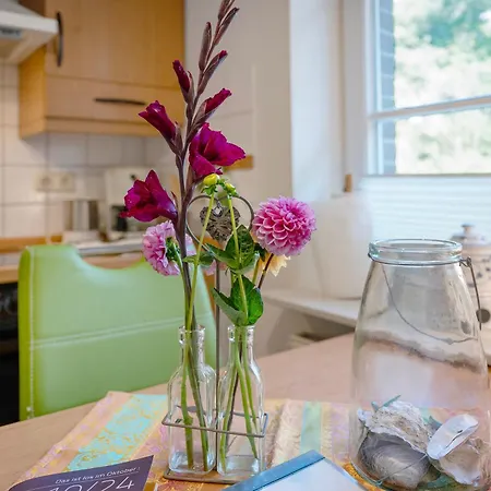 Haus Deichgraf شقة